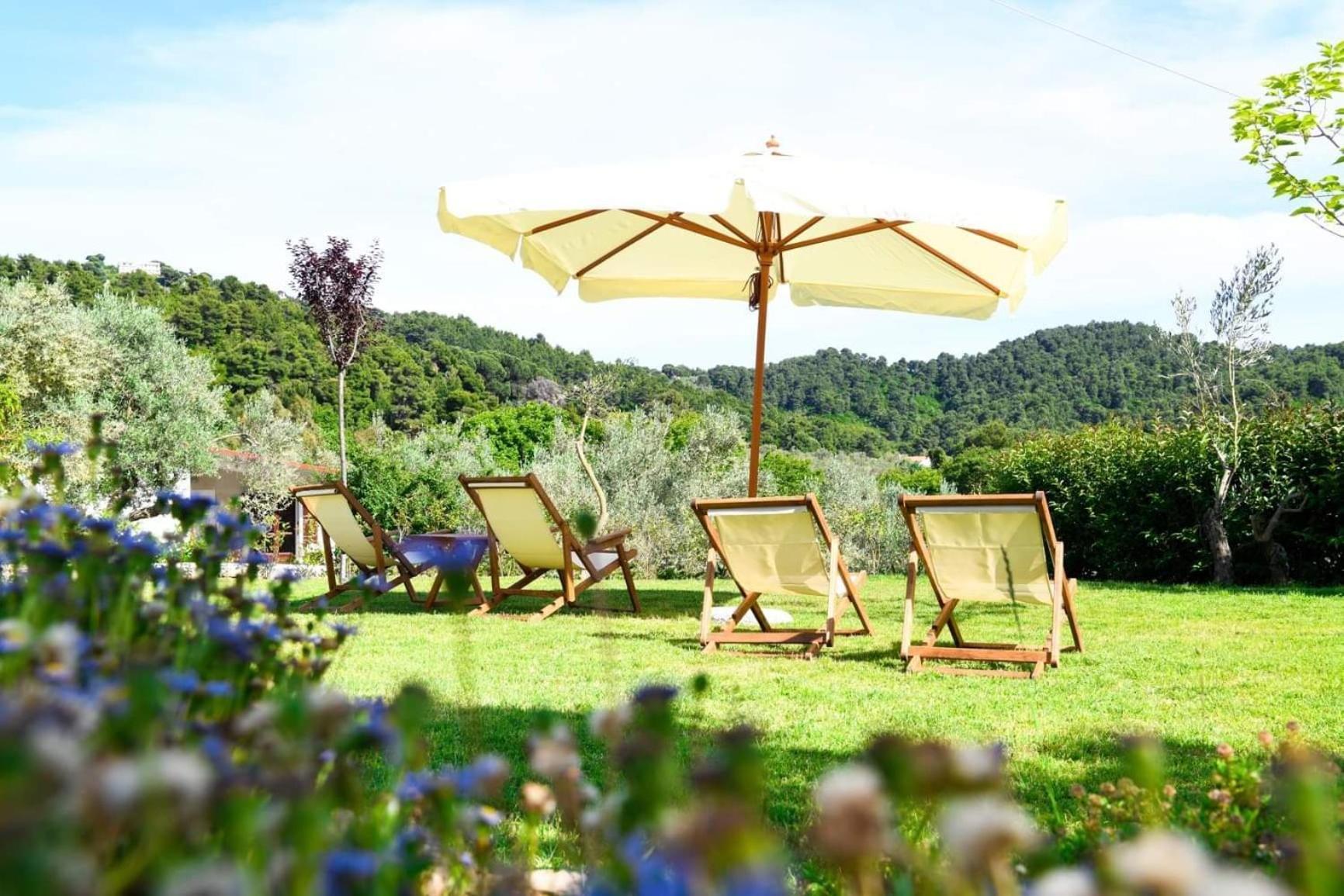 Anemi Superior Deluxe Suite Koliósz Kültér fotó