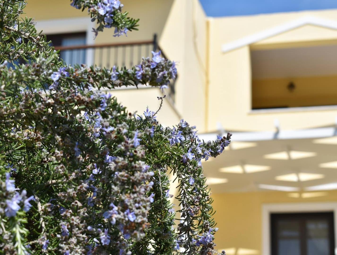 Anemi Superior Deluxe Suite Koliósz Kültér fotó